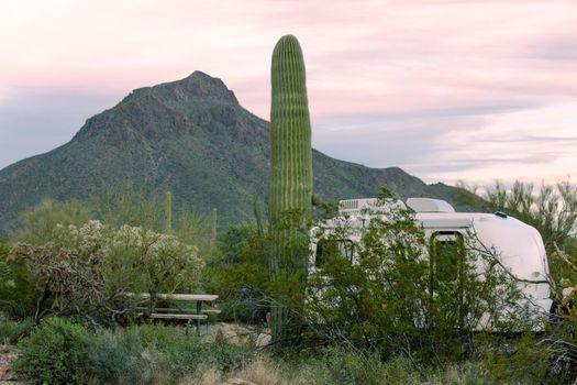 Small camping trailer parked on campsite in Sonoran Desert beside Saguaro Cactus