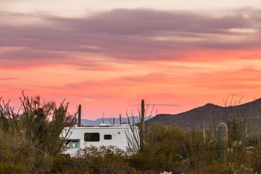 Small motorhome RV parked on campsite in Sonoran Desert beside Saguaro Cacti