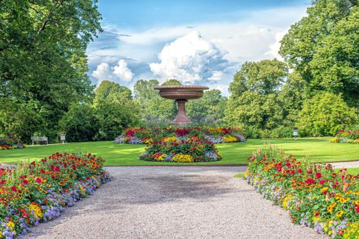 Colorful flowers in the garden, beautiful flowrs farm in summertime season