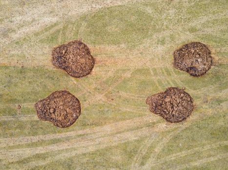 Round, large heaps of manure are beautifully laid in the field, aerial photo. Application of organic fertilizers in spring and autumn. The concept of working in agriculture for doing business and making a profit.