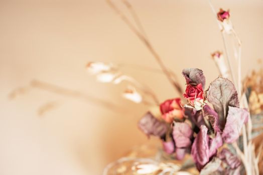 The bouquet of the dried tiny roses on a beige background