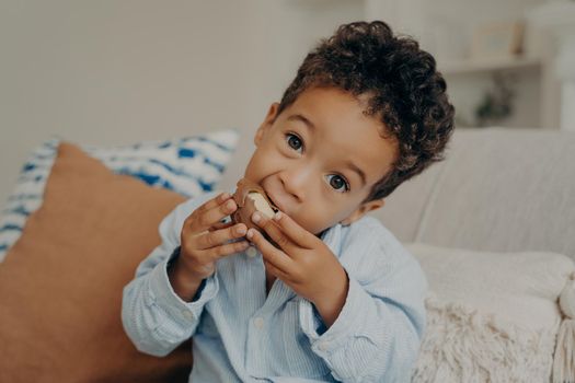 Close portrait of cute mulatto boy with big hazel eyes and curly hair making funny face expression while eating chocolate egg by holding it with both hands sitting on sofa in living room at home