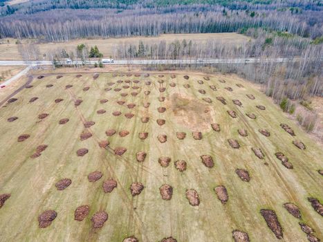 Manure heaps lie in even rows on a farm field, aerial photo. Application of organic fertilizers in spring and autumn. The concept of working in agriculture for doing business and making a profit.