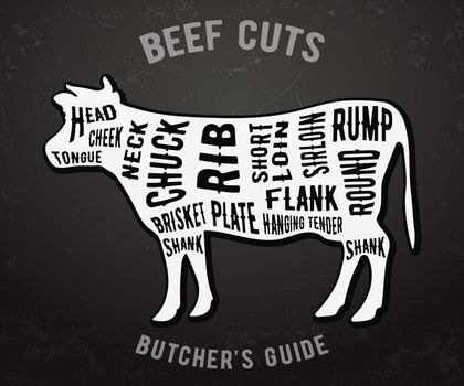 Beef cuts. Butcher guide on blackboard. Vector illustration