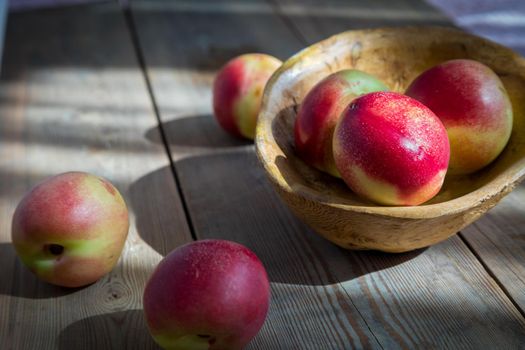 Red and green mini nectarine in a wooden bowl. The sun's rays illuminate the nectarine. Close-up.