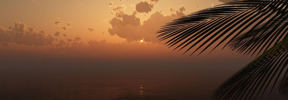 sunset sea palm landscape illustration, 3d render