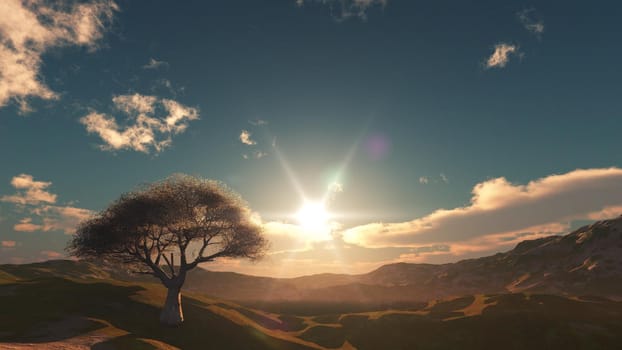 sunset at meadow and lonely tree, 3d render illustration