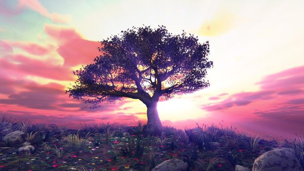 tree spring in meadow sunset illustration, 3d rendering