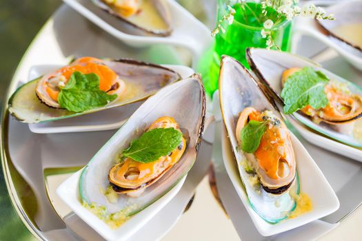 Steamed sea mussels. Large blue mussels on  plate