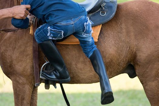 Horse riding in the lawn.