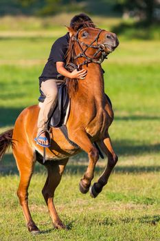 Horse riding in the lawn.