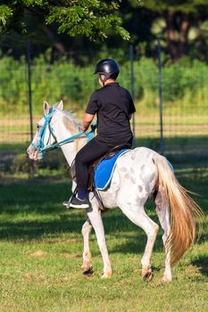 Horse riding in the lawn.