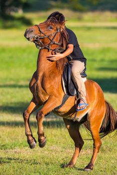 Horse riding in the lawn.