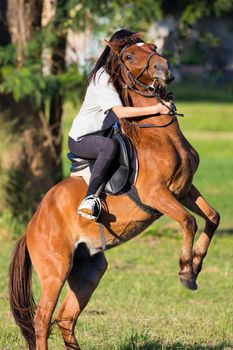 Horse riding in the lawn.