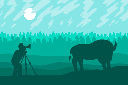 Photographer photographs walking bizon on field. Wild bison. Green nature scene. Hills landscape. Tourism panorama. Vector