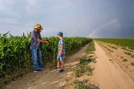 Father is teaching his son about cultivating corn. Corn plantation successfully sown. Farmers in agricultural field.