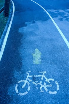 The Bicycle road sign painted on the pavement