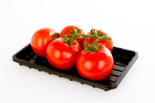 Tomatoes over white background