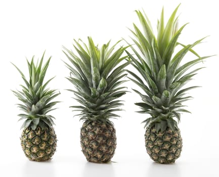 fresh pineapple on white background