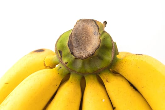 fresh bananas on white background