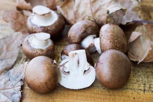 fresh mushrooms on wodden background.