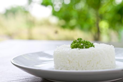 plain rice on white plate