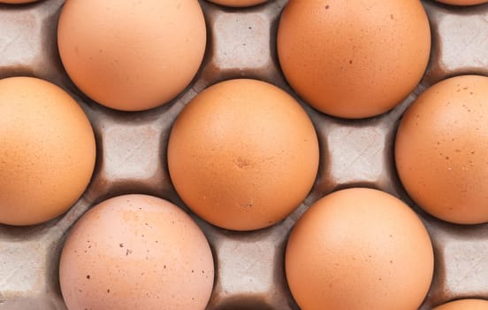 hen eggs with panel on whitebackground