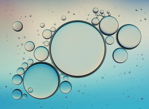 Oil Bubbles Isolated on White Background, Closeup Collagen Emulsion in Water. Illustration.