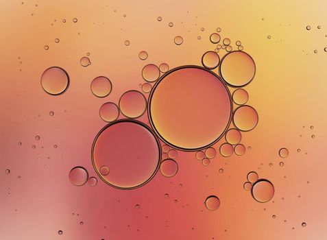 Oil Bubbles Isolated on White Background, Closeup Collagen Emulsion in Water. Illustration.