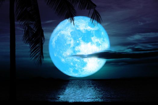 reflection flower blue moon rise back silhouette coconut tree and cloud over sea on the night sky