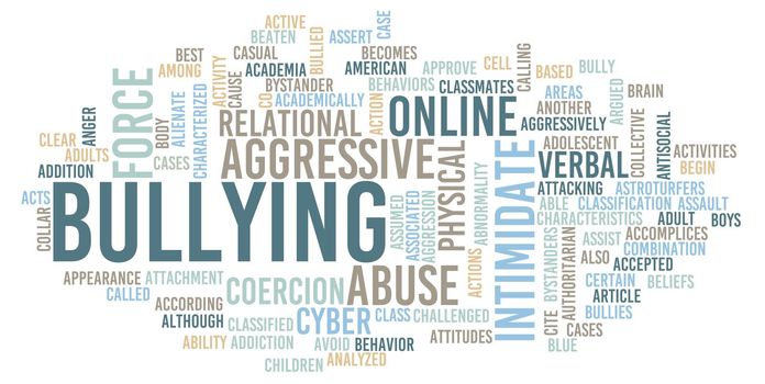 Bullying at School and Online as a Concept