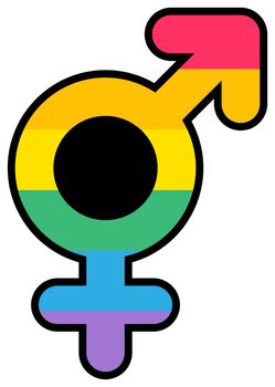 Bigender love lgbtqi male and female mark vector. Men and women bisexual orientation relation sign multicolor lgbt rainbow spectrum. Solidary international celebrate day flat cartoon illustration
