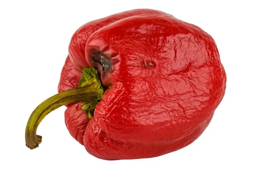 rotten red bell pepper isolated on white background.