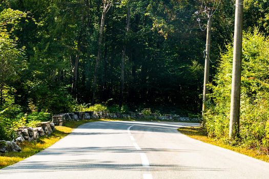 View through car windshield of  mountain road between the trees on sunny day.