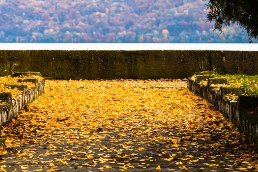 Beautiful autumn path on a sunny day. Autumn season with fallen leaves in autumn colorful park alley. Colorful trees and fallen leaves in autumn park. Beautiful autumn path on a sunny day.