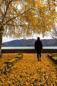 Autumn leaves fallen on alone woman walking on the autumn alley. Autumn landscape, orange foliage in a park in Orsova, Romania, 2020