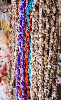 Curtain of sea shells for decoration