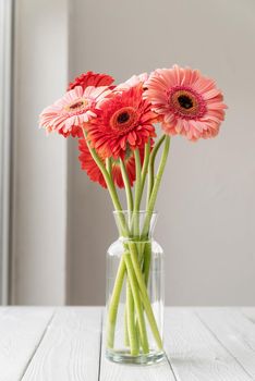 Red and pink gerbera daisies in vase on table, minimal style. Copy space