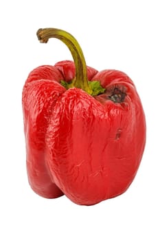 rotten red bell pepper isolated on white background.