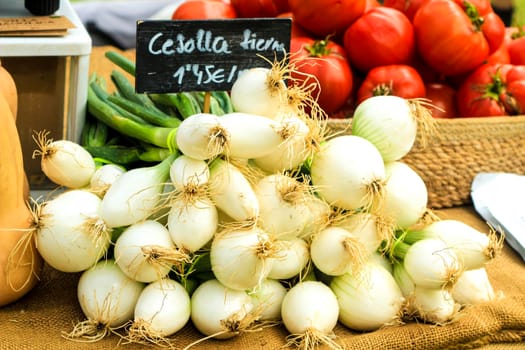 Vegetables for sale at the local ecological market in the Raval neighborhood in Elche