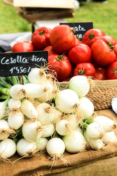 Vegetables for sale at the local ecological market in the Raval neighborhood in Elche