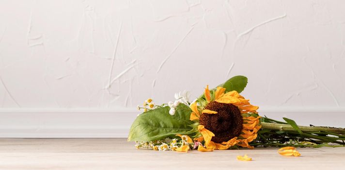 Autumn concept. A bouquet of withered flowers and a sunflower on the floor. Banner