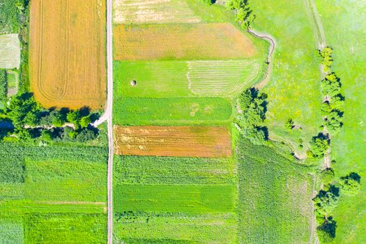 Above view of rural summer scene: fields, road and small brook