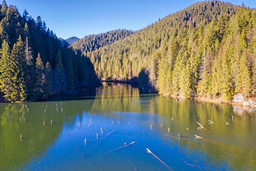 Mountain lake with dead trees, aerial view.  Red Lake is a natural dam lake in Romania located in the north-east where you can still see the tree stumps.