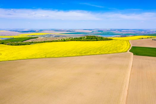 Aerial view of fields during springtime: canola fields, forest trees and seeded fields