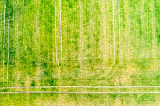 Above view of tractor traces over green field during springtime