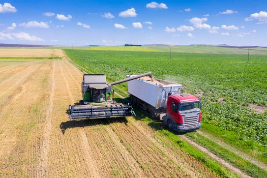 Combine harvester emptying in a container trailer on summer field