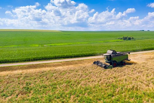 Working combine harvester machine in wheat field, aerial summer farm scene