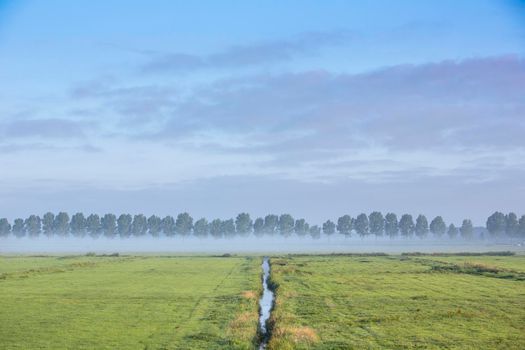 water of ditch leading towards tree line reflects blue sky on early summer morning in the green meadow area near amsterdam in holland