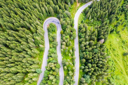 Above view of green forest winding road, mountain pass in evergreen forest